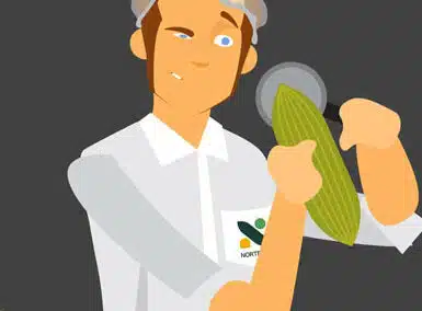 Nortera: Explainer Animation
